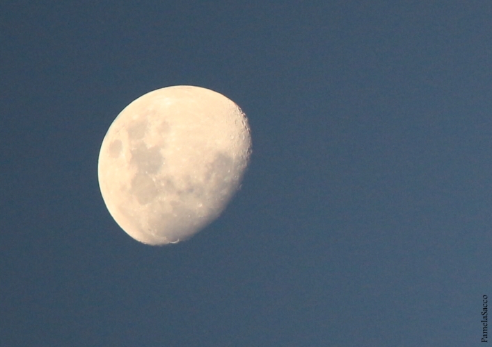 "La Luna..." de Pamela Sacco