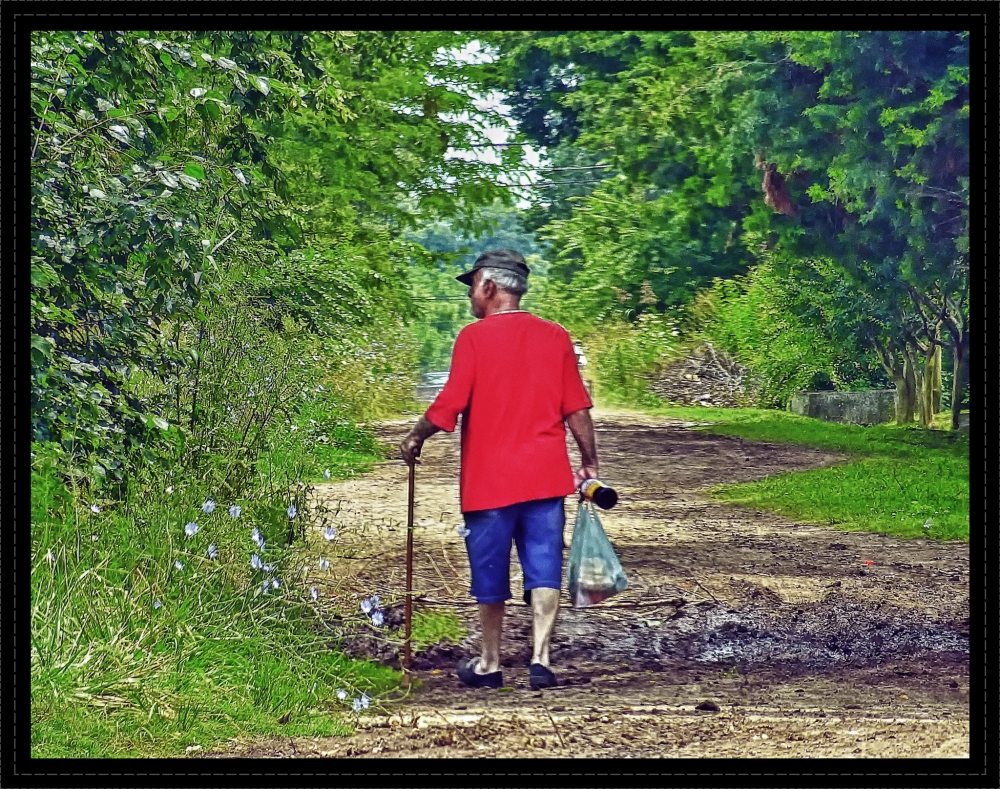 "Volviendo del almacn" de Fernando Bordignon