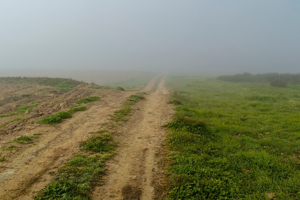 "Camino a la nada" de Francisco Jos Cerd Ortiz