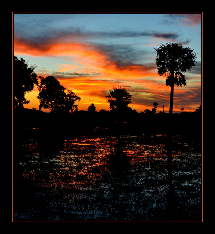 "atardecer en los esteros" de Mercedes Orden