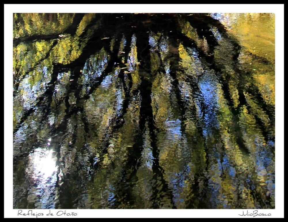 "Reflejos de otoo" de Julio Bosco