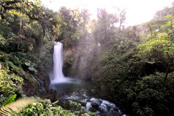 "Cascada en MNovimiento" de Virgilio Rodriguez