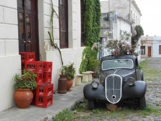 "Picturesque: tan bella como nica" de Maca Ferreyra