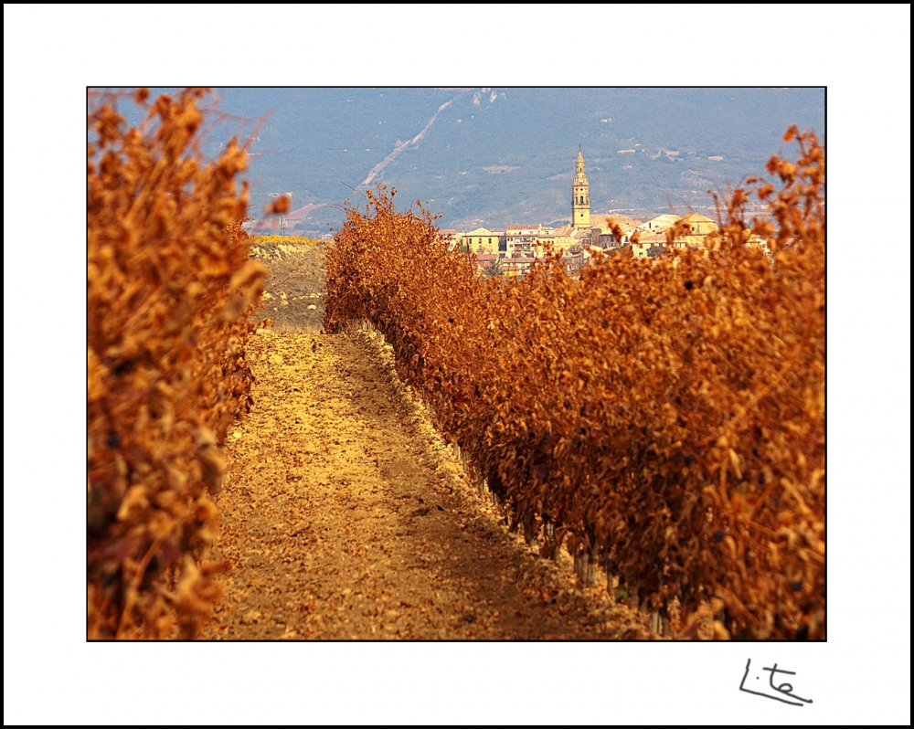 "Orgen Rioja: Briones" de Angel Triana