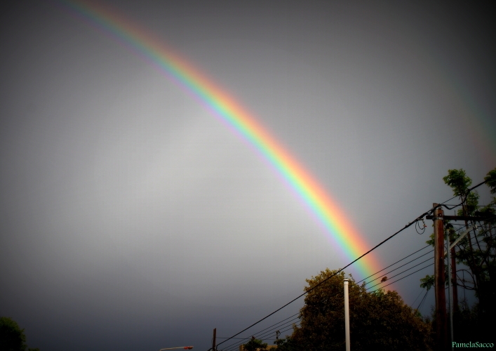 "Despus de la tormenta..." de Pamela Sacco