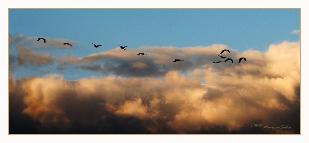 "Decdete a volar" de Maria Cristina Silva