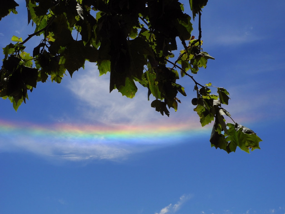 "Nube de Colores!" de Beatriz Benger