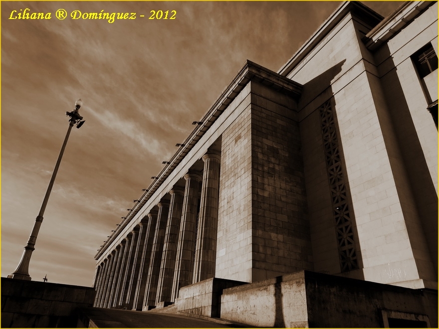 "Derecho en sepia" de Liliana Dominguez