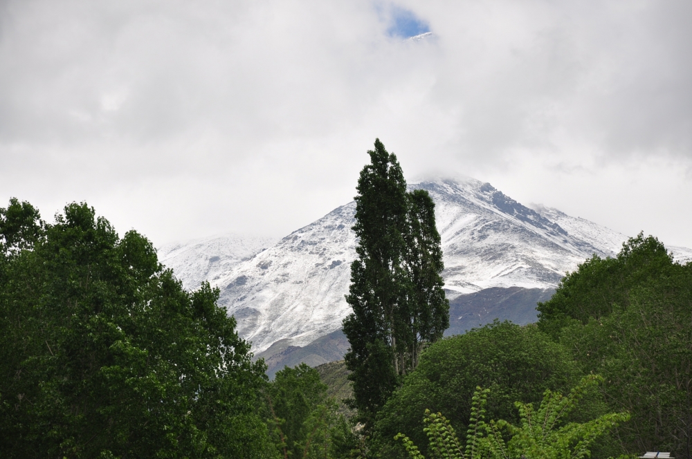 "la nevada montaa y la verde pradera. . ." de Jose Alberto Vicente