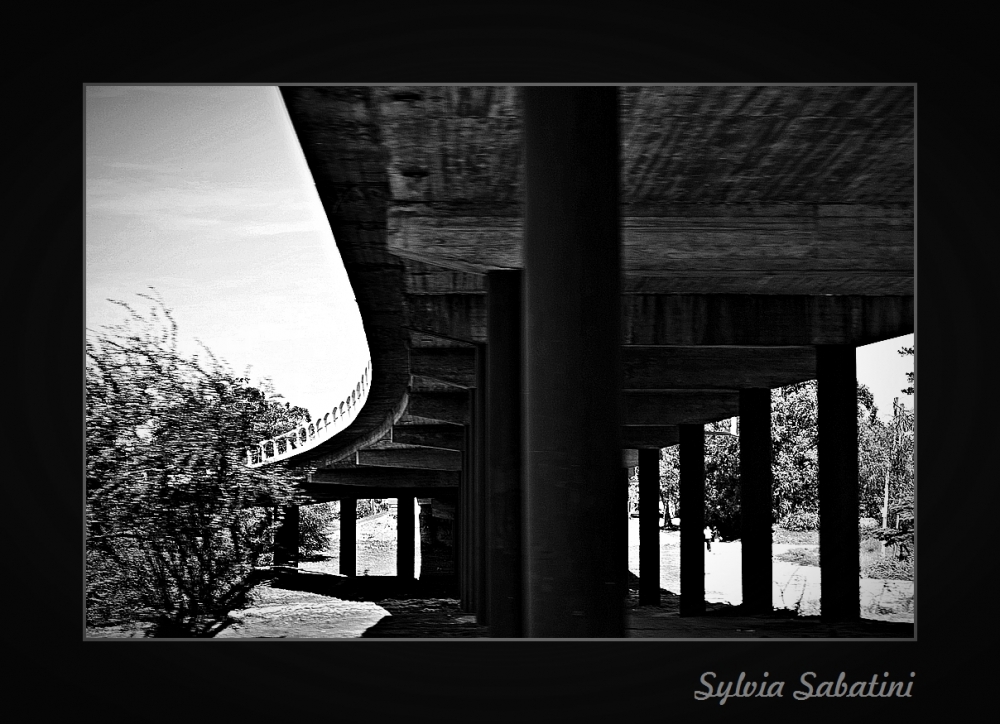 "Bajo el puente" de Sylvia Sabatini