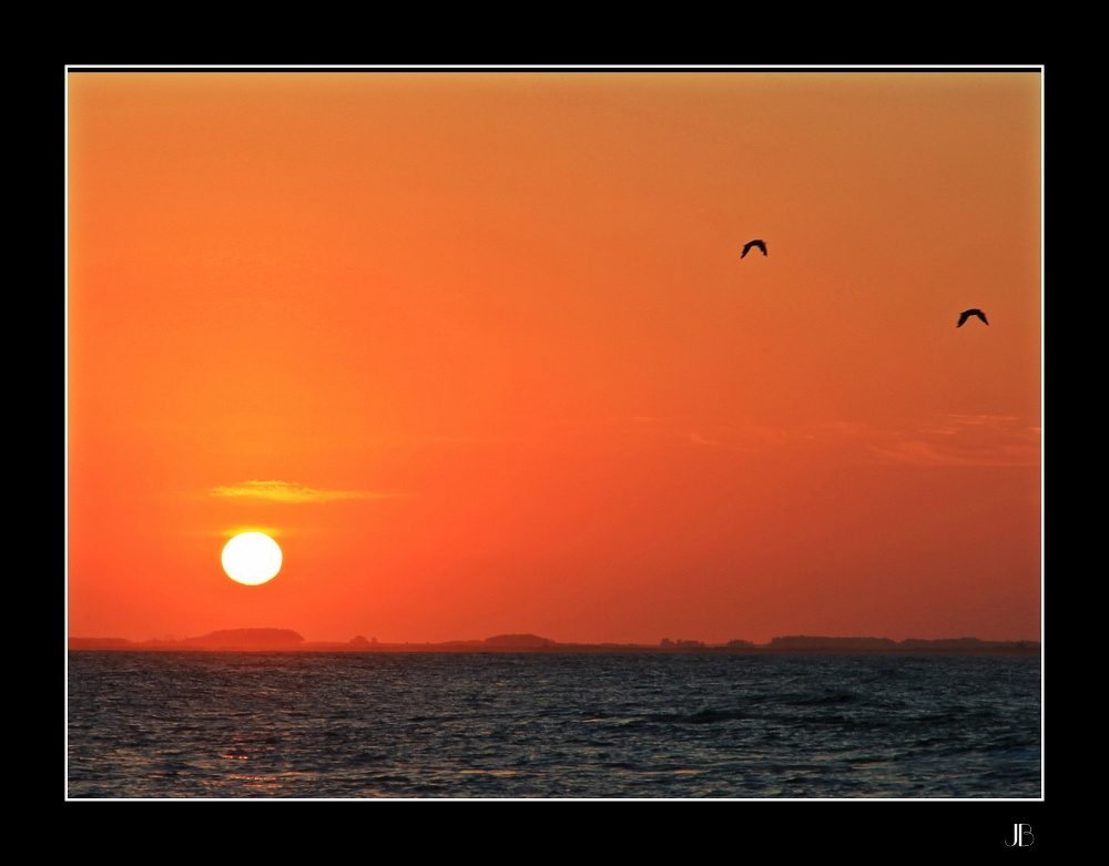 "Dos Gaviotas al Atardecer" de Julio Bosco