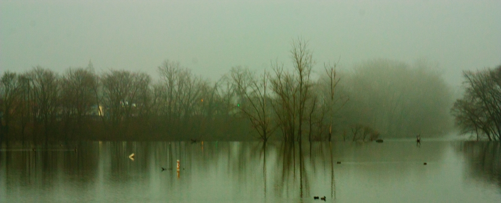 "Invierno" de Arturo Mozcozo