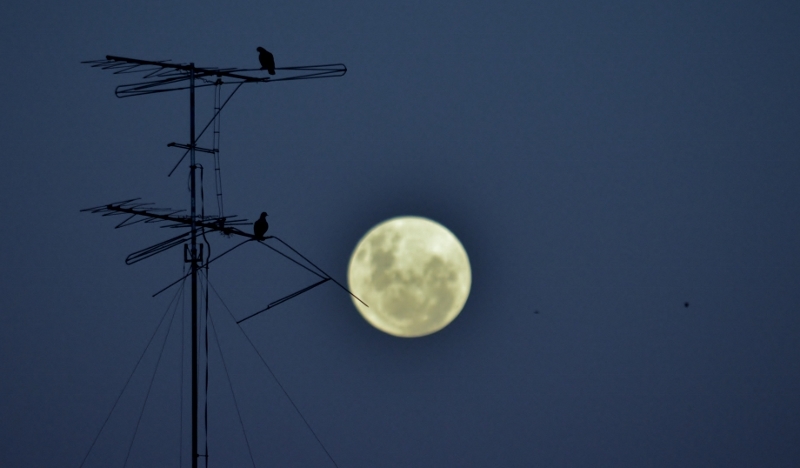 "Noche de luna" de Hctor Rodrguez Cacheiro