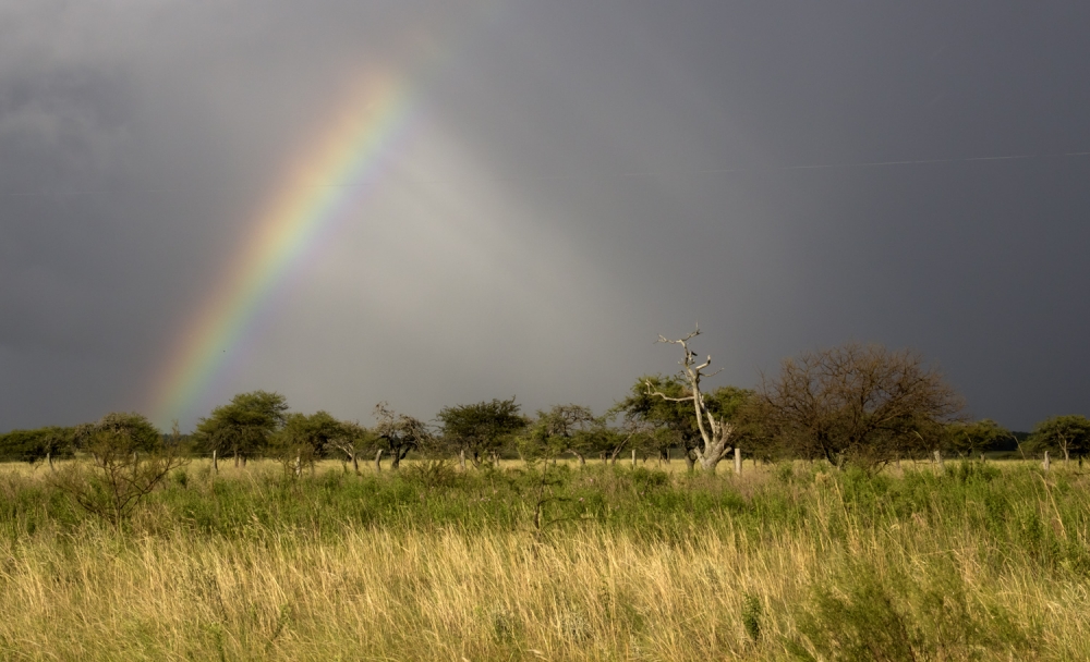 "arco iris" de Edith Polverini