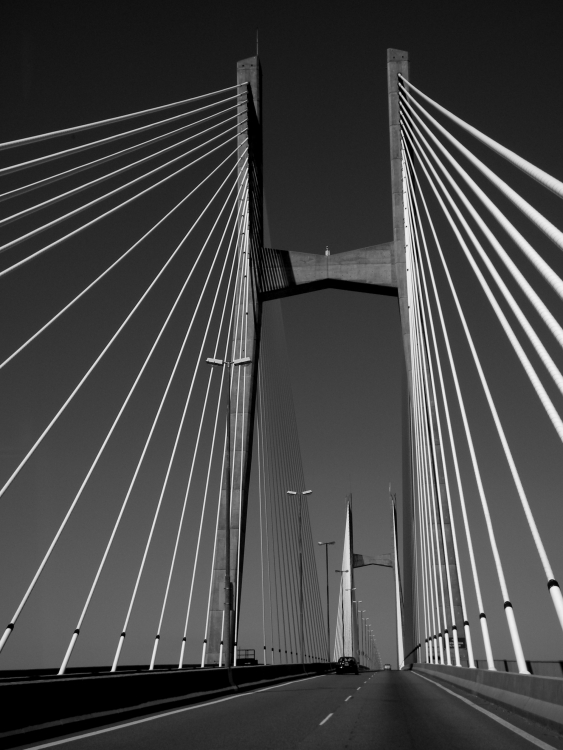 "Puente Rosario-Victoria" de Gladys Taboro