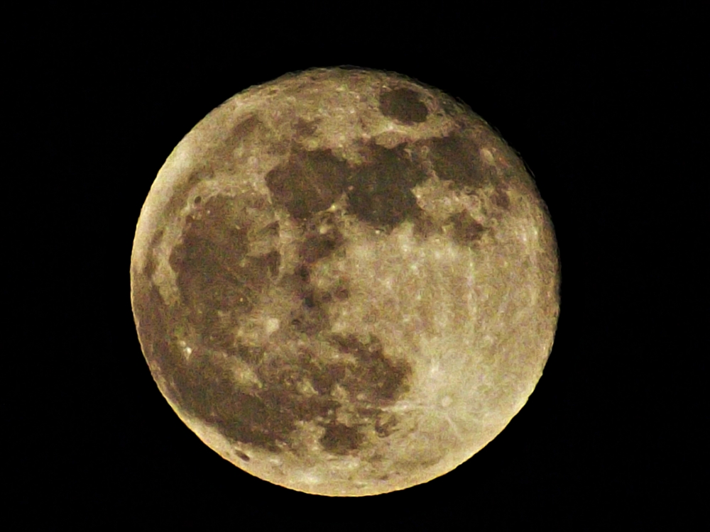 "noche de luna llena 27/1/2013" de Pascual Navarro