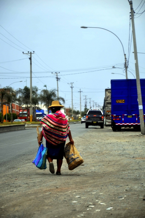 "Visiones de Tacna." de Marcelo Collao