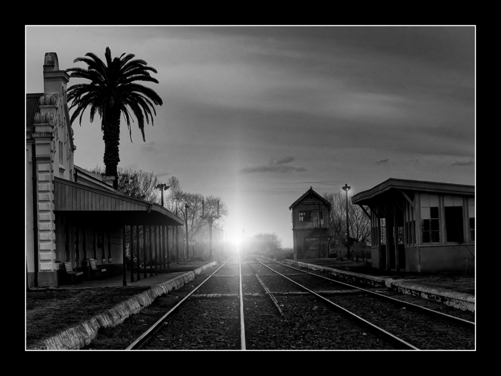 "una luz en el camino" de Jose Luis Anania