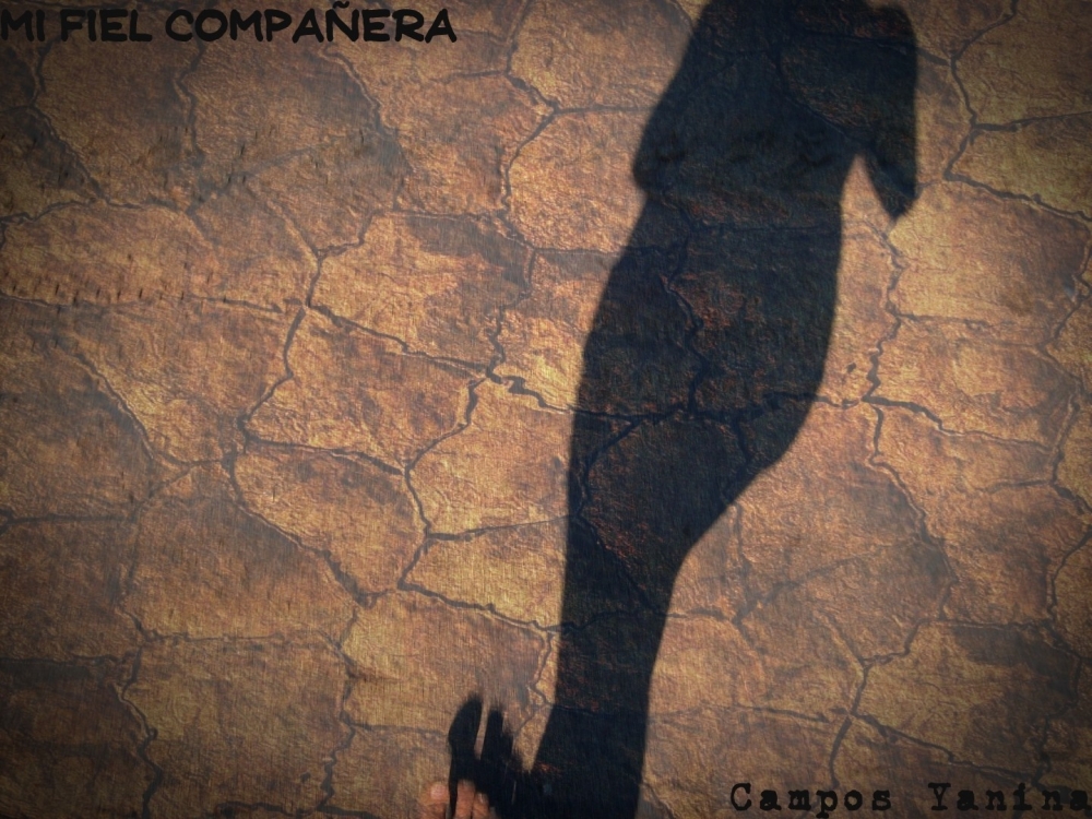 "Mi fiel compaera" de Yanina Campos