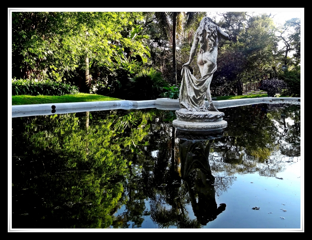 "Reflejos en el Botnico" de Fernando Bordignon