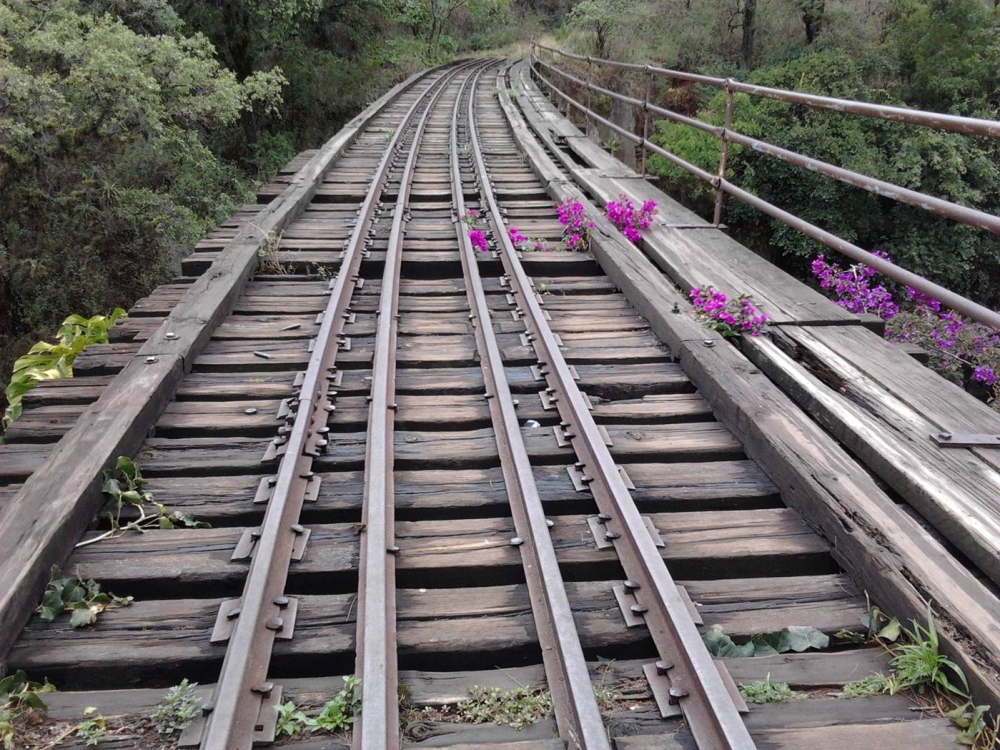 "AL FINAL DEL CAMINO" de Alma Delia Franco Cacho