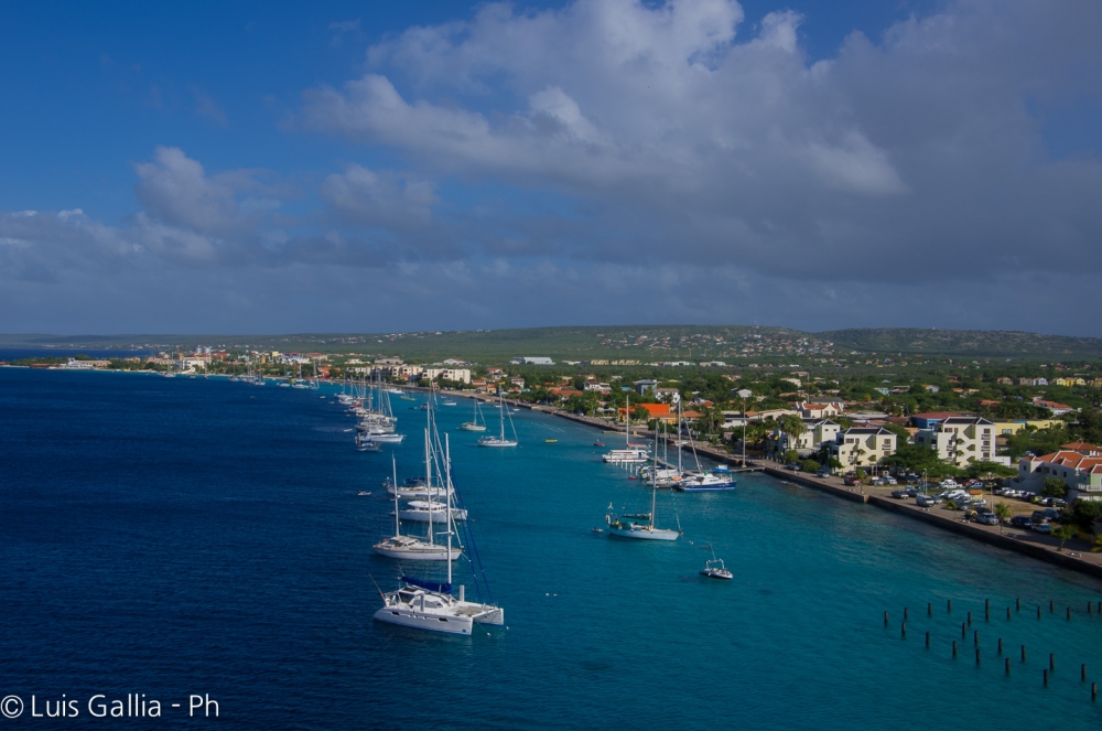 "Bonaire" de Luis Gallia