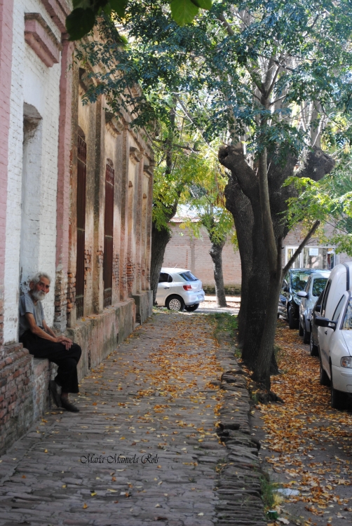 "Esperando el paso del tiempo" de Mara Manuela Rols