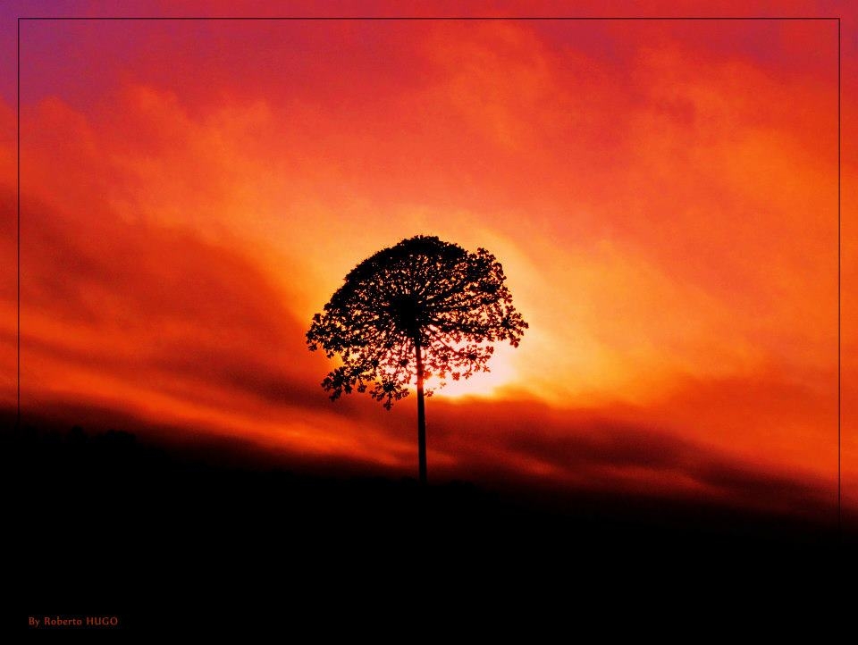 "Contra Luz (Al rojo vivo...pura inspiracin)" de Roberto Hugo