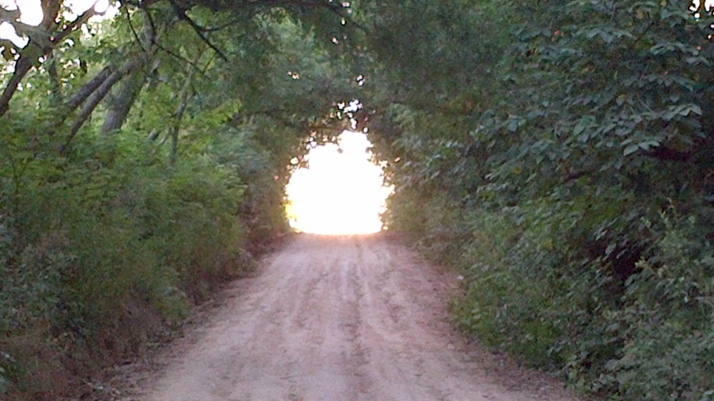 "Camino al sol" de Juan Carlos Baez