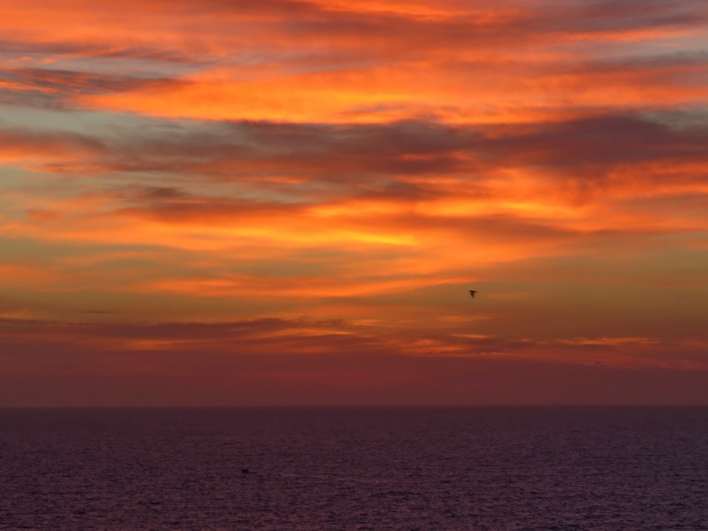 "Amanecer en el mar Argentino" de Damian Patrilla