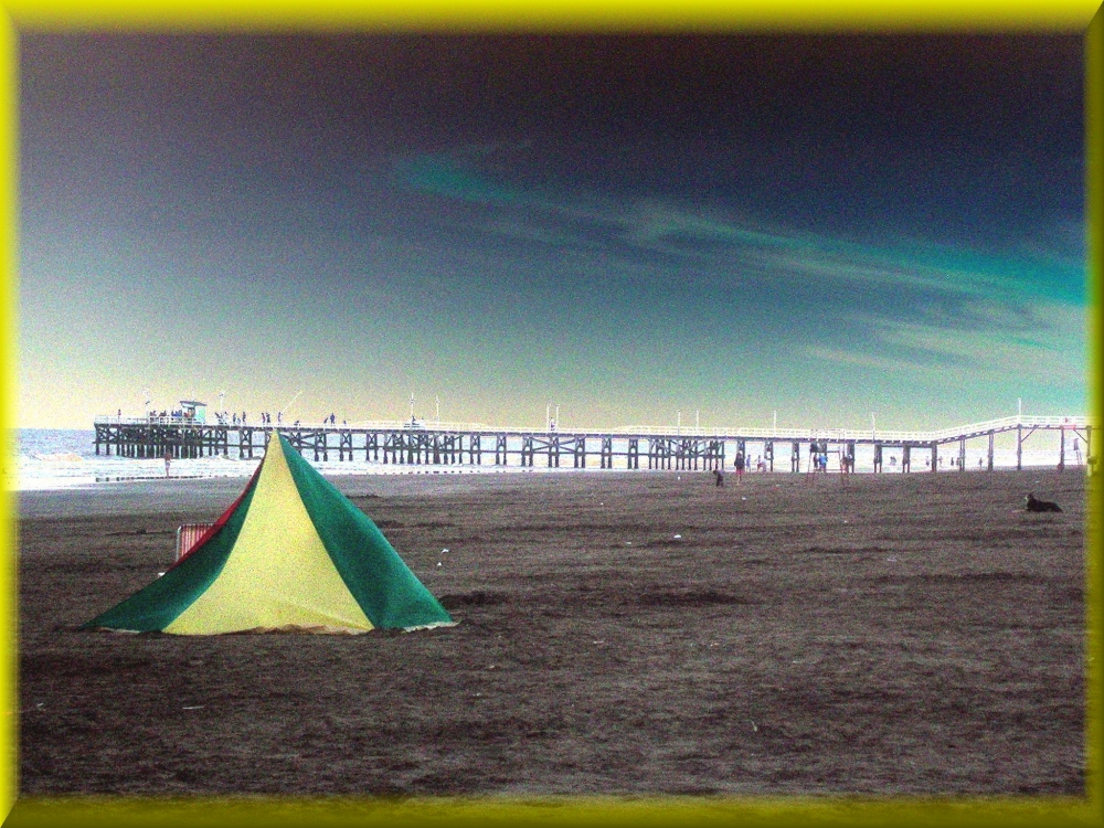 "Carpa en la playa." de Maria Calvo