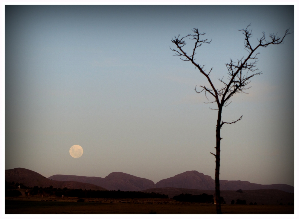 "Primer plenilunio 2013" de Erika Oostdyk