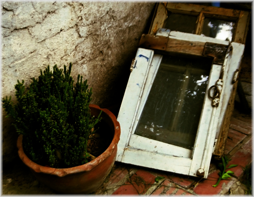 "LA MACETA EN LA VENTANA" de Eduardo Rene Cappanari