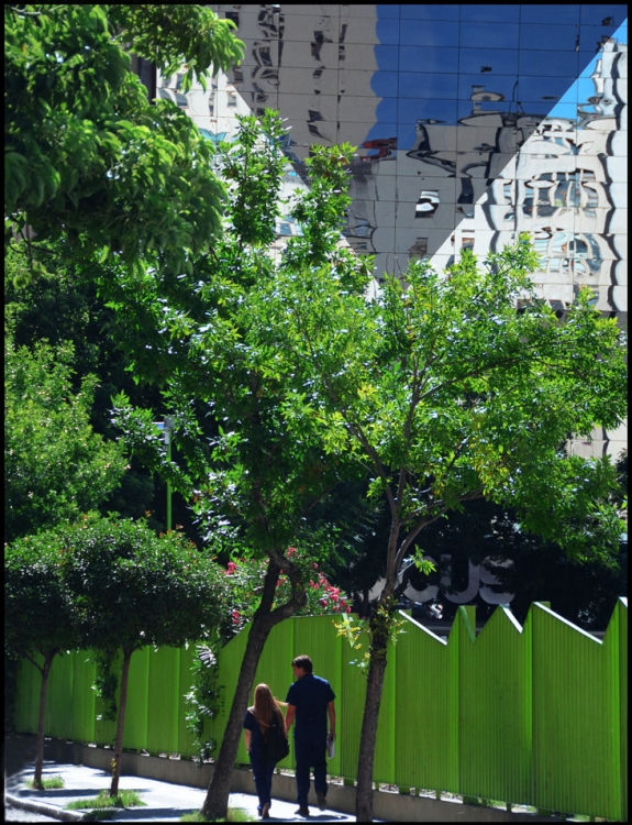 "Onda verde" de Jorge Vicente Molinari