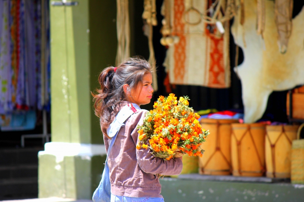 "Cargando Flores" de Sebastin Navarro Lehoux