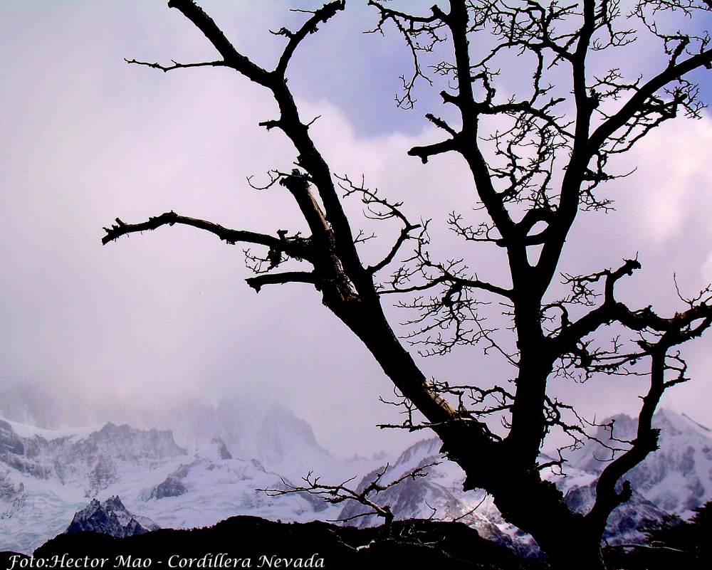 "Cordillera nevada" de Hector Mao