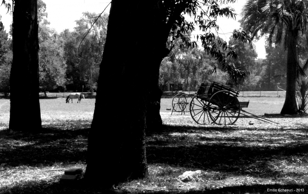 "Campo" de Emilio Echesuri