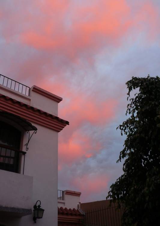 "Amanecer en mi casa" de Luis Fernando Somma (fernando)