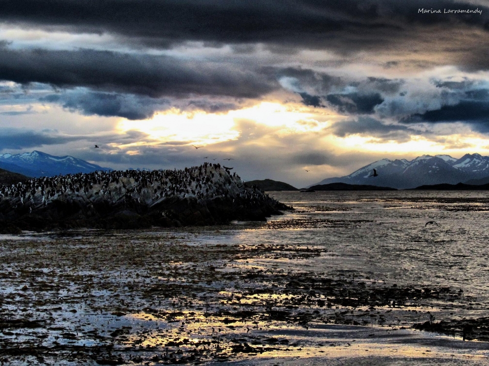 "Atardecer en el Beagle..." de Marina Larramendy