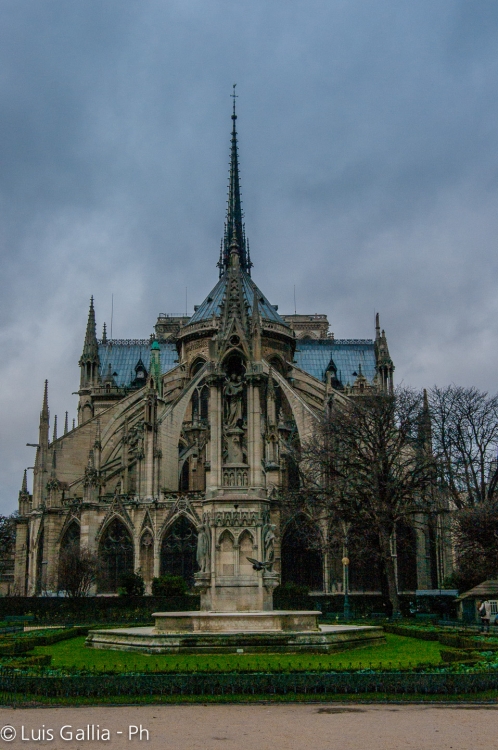 "Notre Dame (vista de atras)" de Luis Gallia