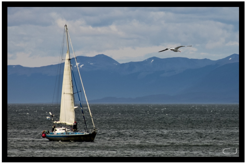 "Velero" de Claudio Jord