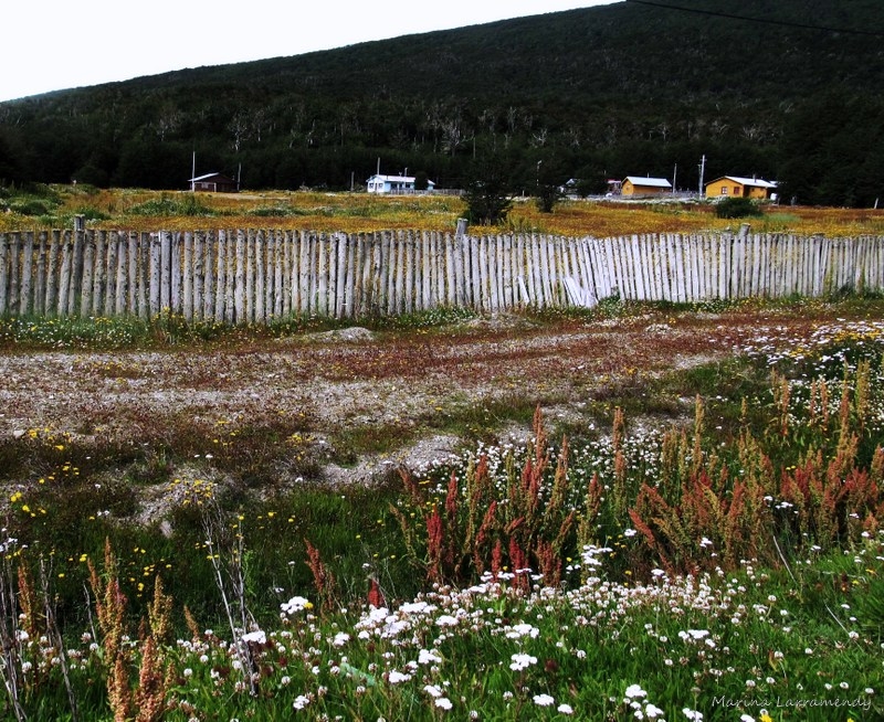 "Los colores de Tierra del Fuego" de Marina Larramendy