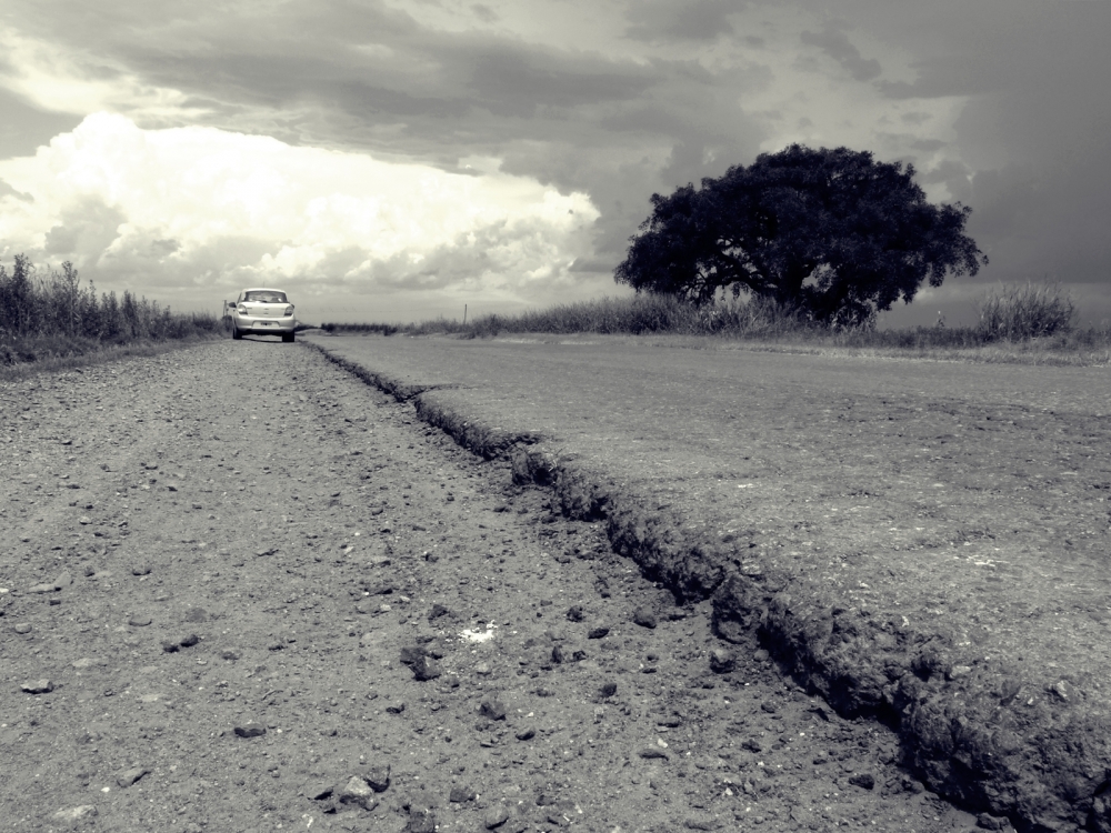 "Por la carretera..." de Luciano Nardone