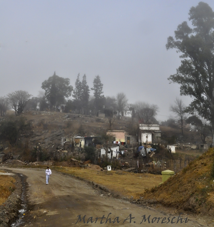 "Maana de niebla" de Martha A. Moreschi