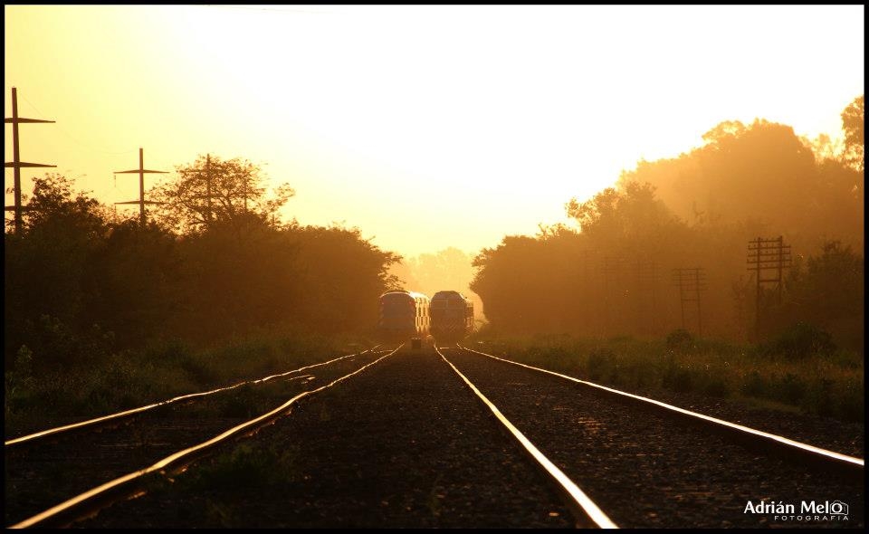 "TRENES AL ATERDECER" de Adrian Melo