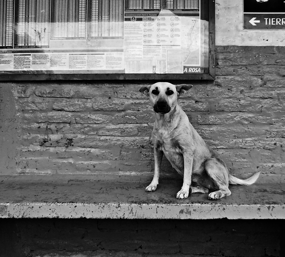 "Esperando el tren" de Andres Mancuso