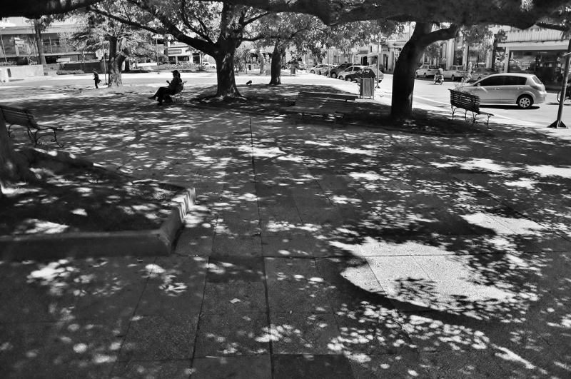 "Plaza y sombra" de Hctor Rodrguez Cacheiro