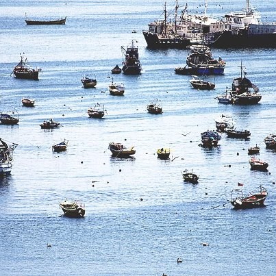 "batalla naval" de Carlos Goncalves