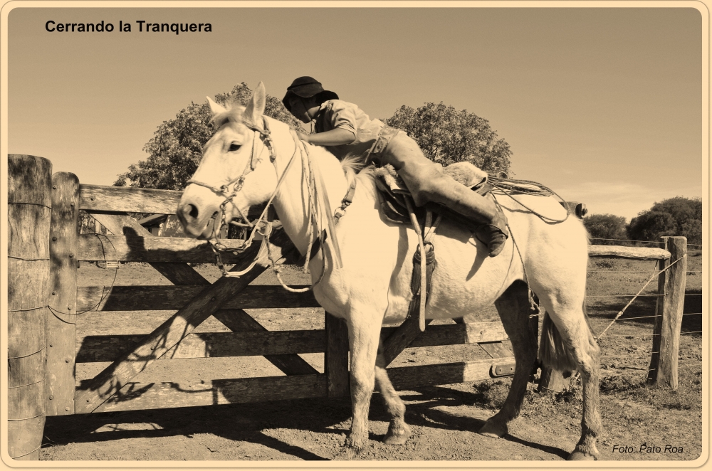 "Cerrando la Tranquera!!!" de Pato Roa