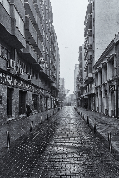 "Calle" de Francisco Jos Cerd Ortiz